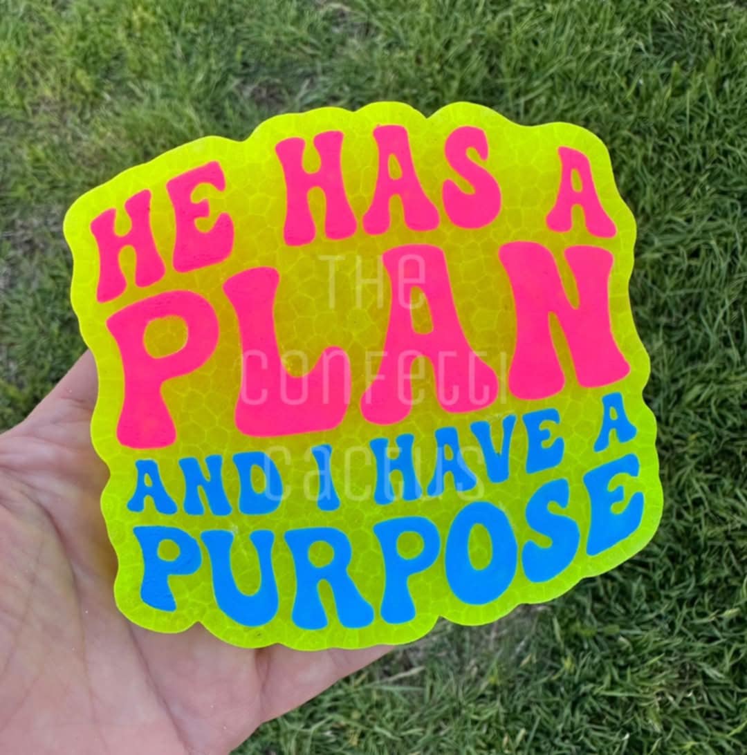 He Has A Plan And I Have A Purpose